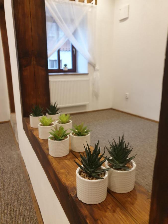 U Mikesu Apartamento Vyšší Brod Exterior foto